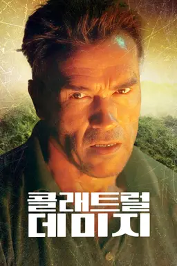 콜래트럴 데미지