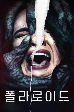 폴라로이드