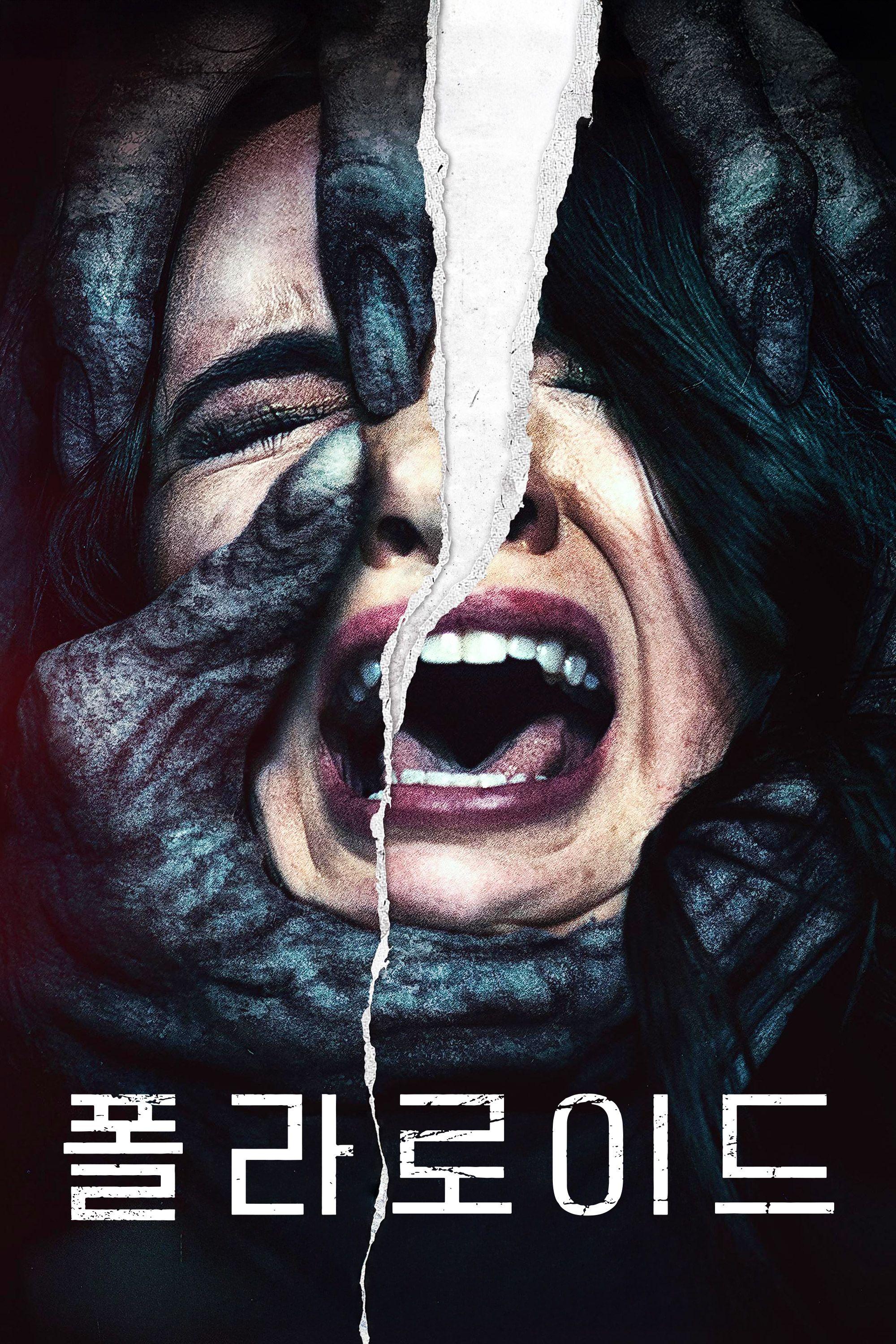 폴라로이드
