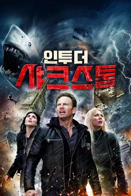 인투 더 샤크스톰
