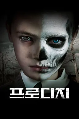 프로디지