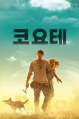 코요테