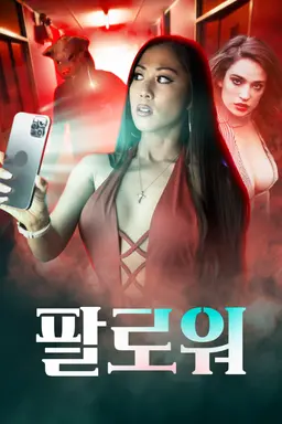 팔로워