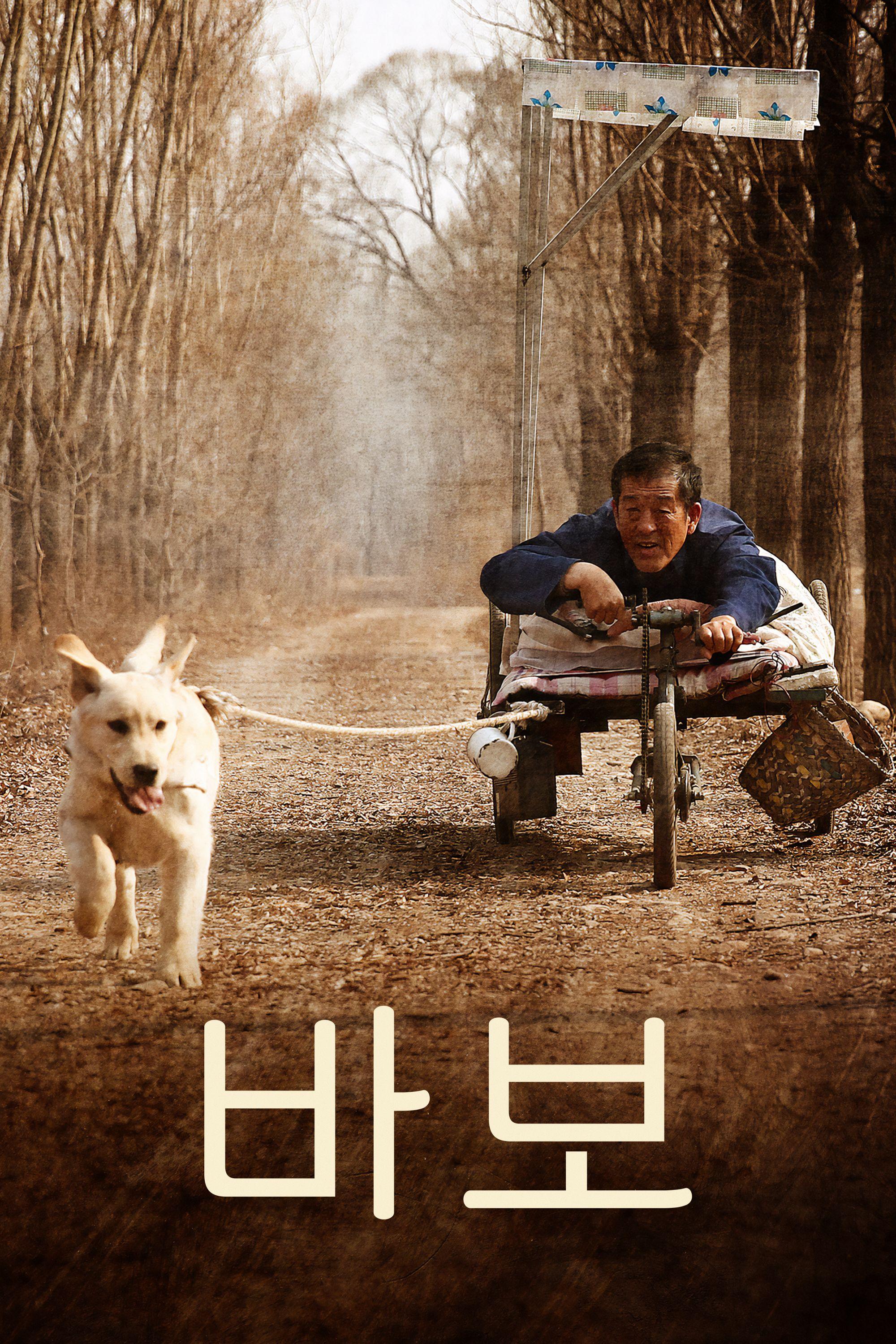 바보