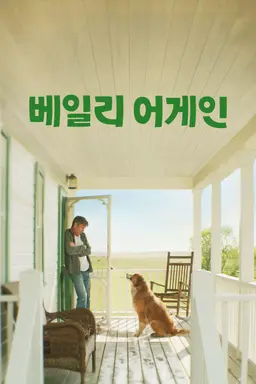 베일리 어게인