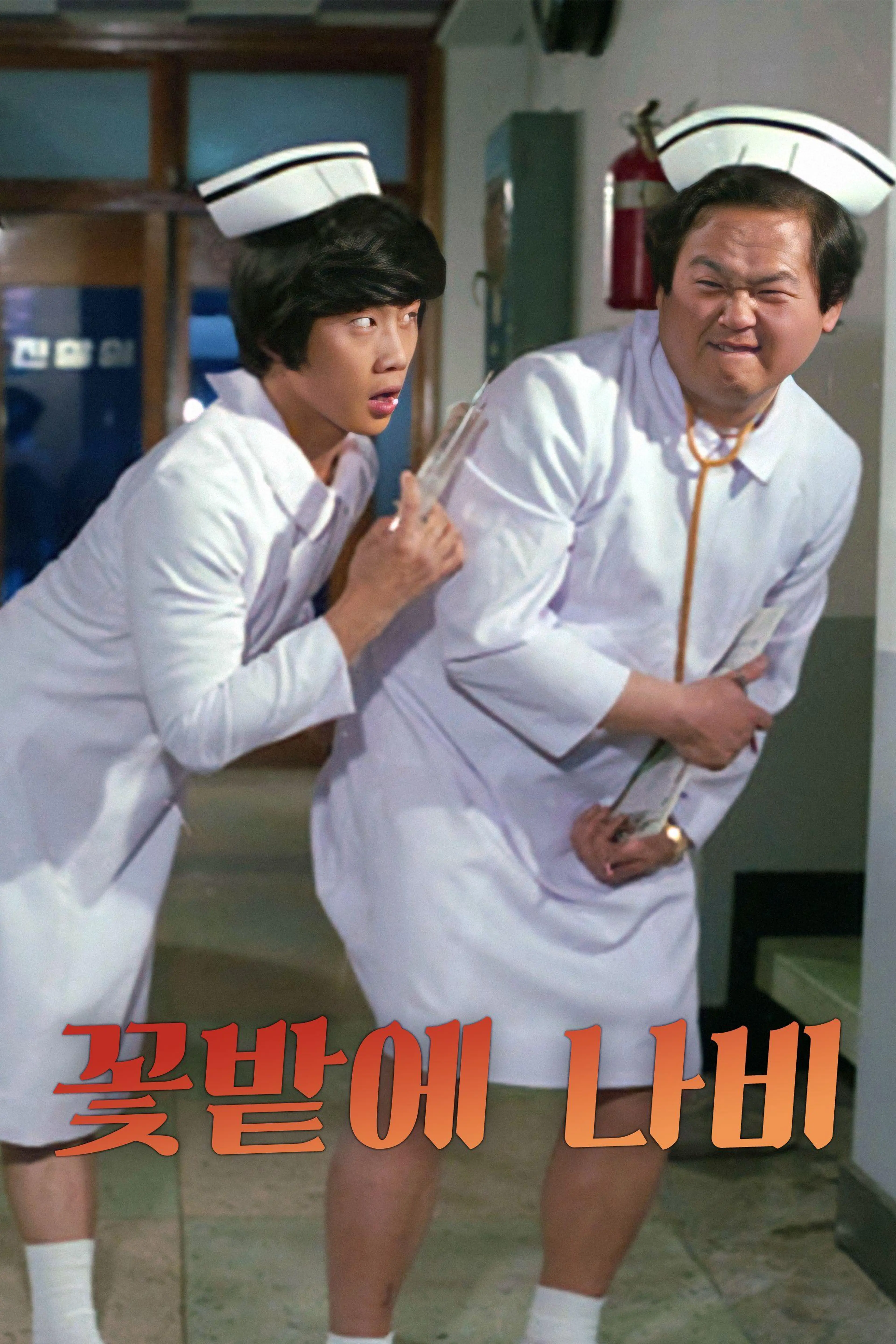 꽃밭에 나비