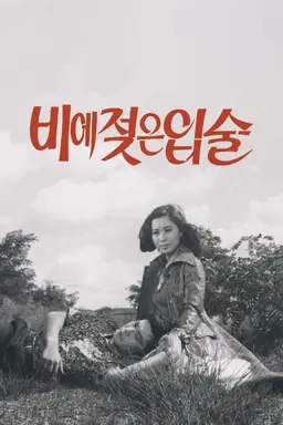 비에 젖은 입술