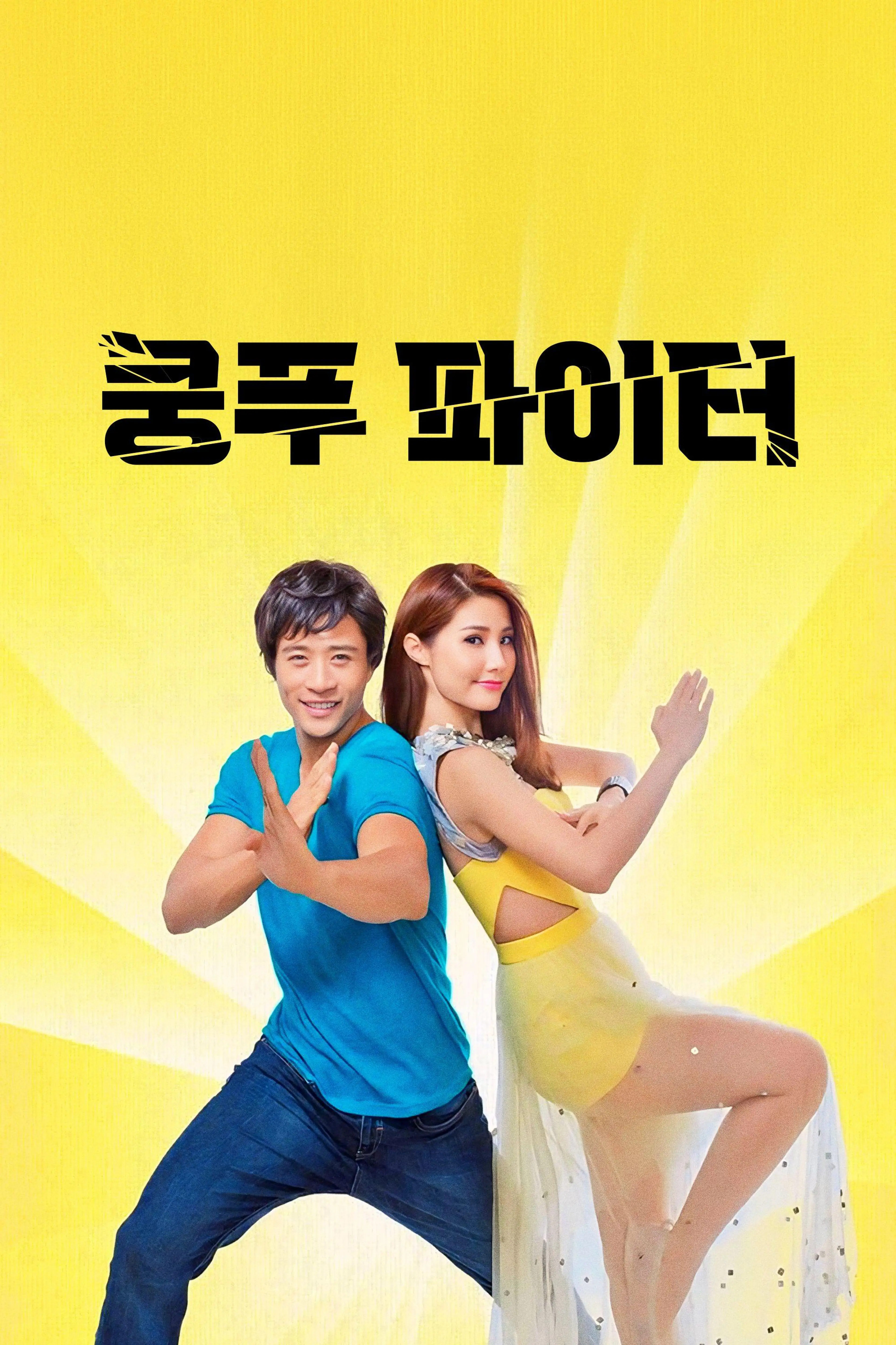 쿵푸 파이터