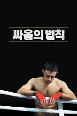 싸움의 법칙