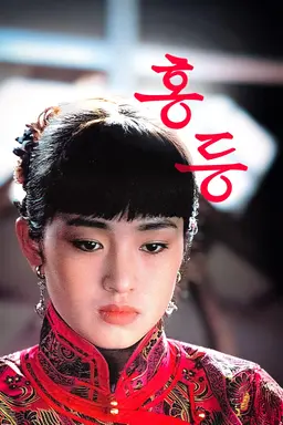홍등
