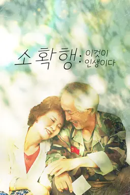 소확행: 이것이 인생이다