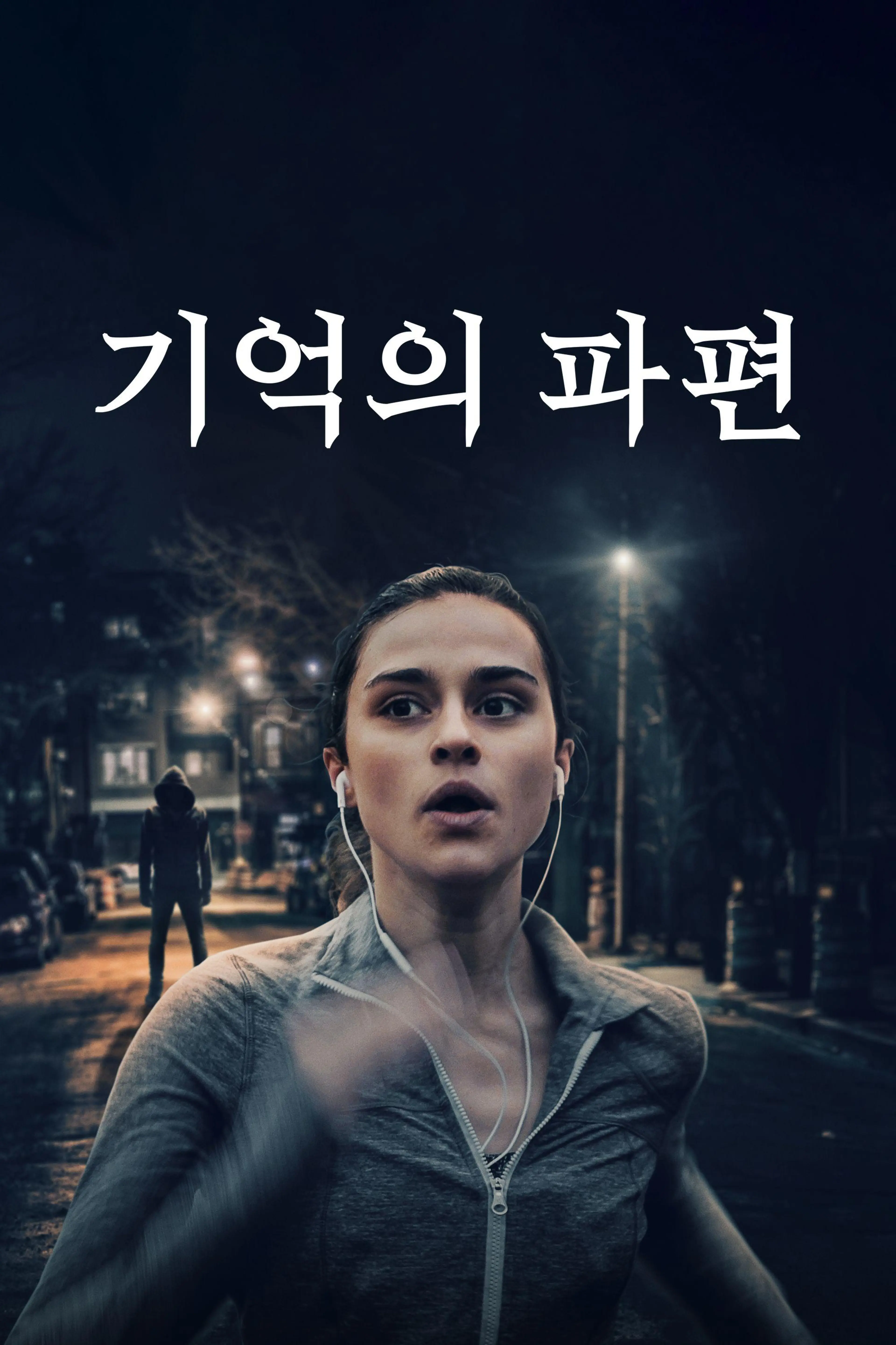 기억의 파편